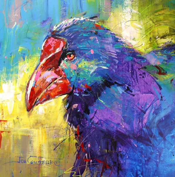 Takahe